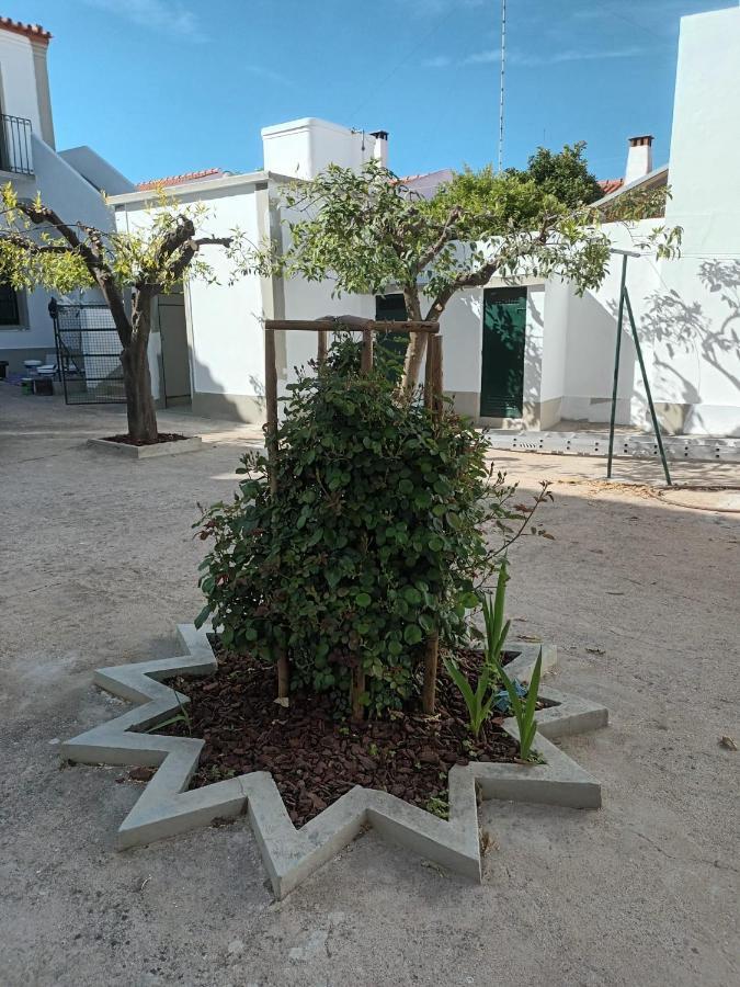 Casa Morais Pinto Apartment Reguengos de Monsaraz Exterior foto